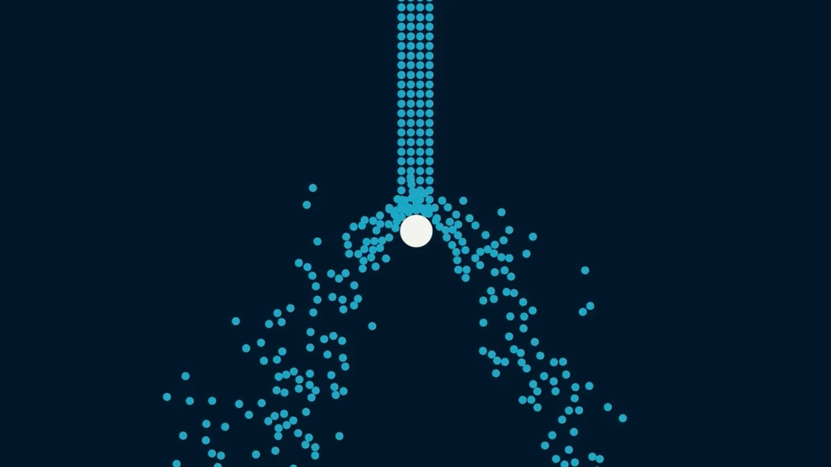 Círculos — imagen 1