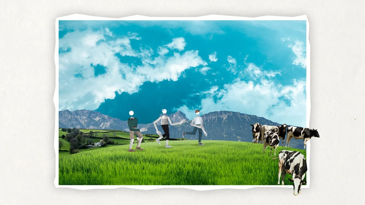 El niño gato — imagen 2