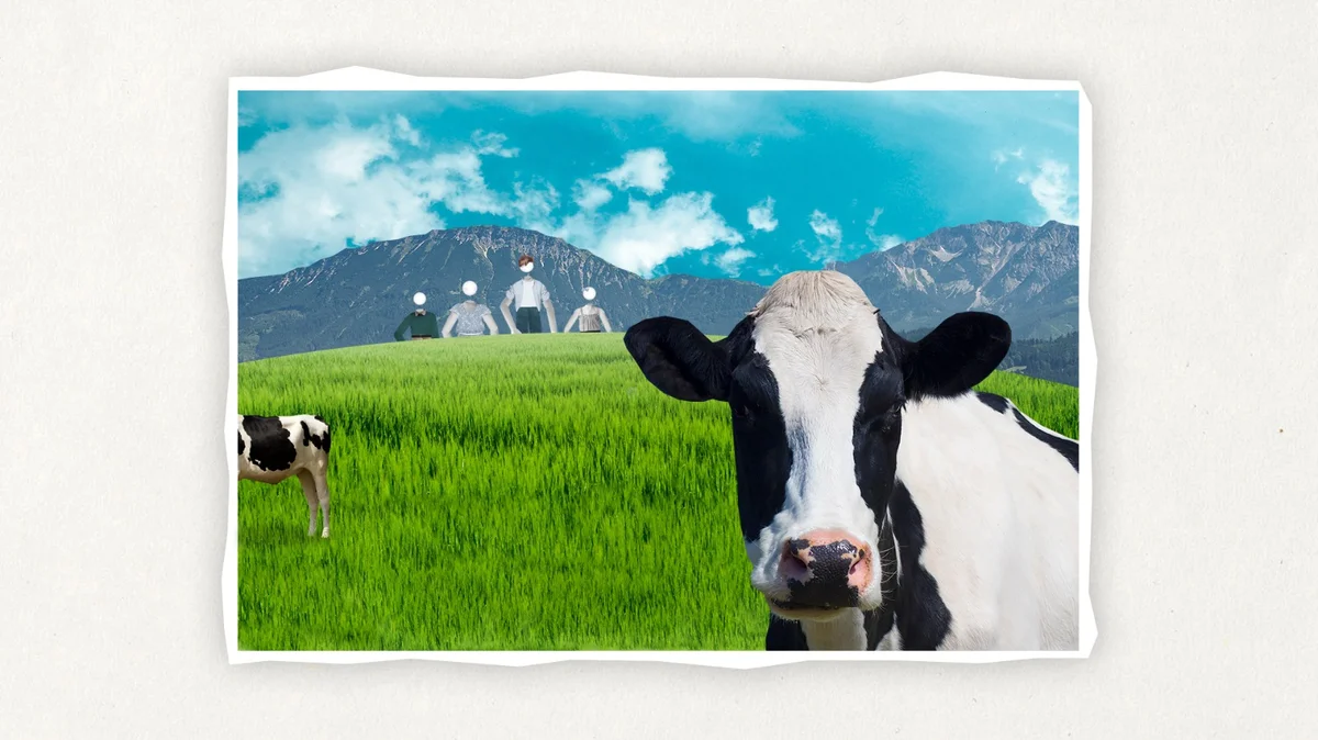 El niño gato — imagen 3