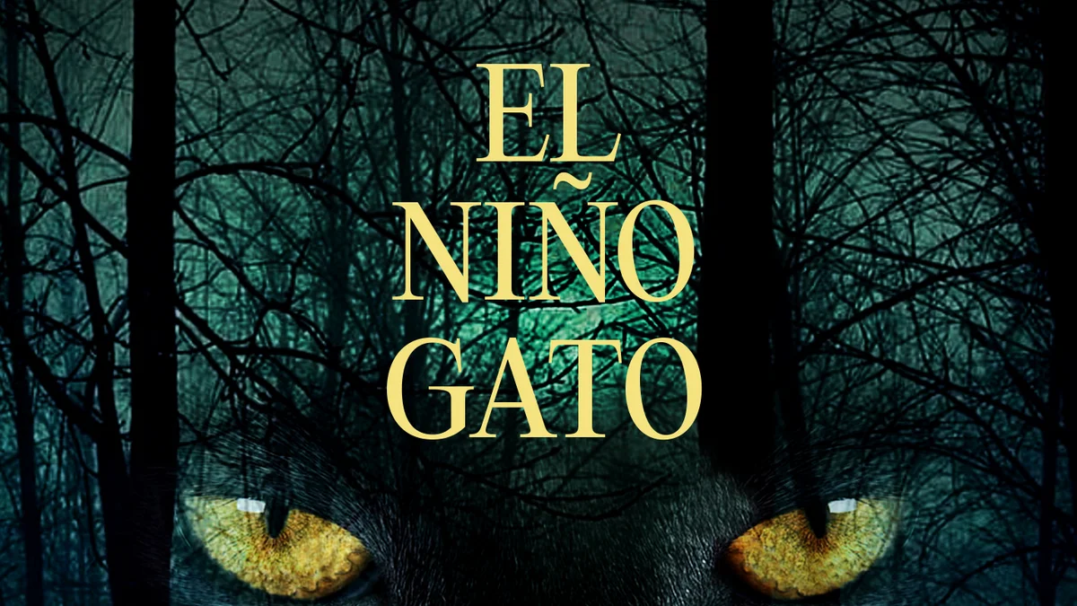 El niño gato — Personal project