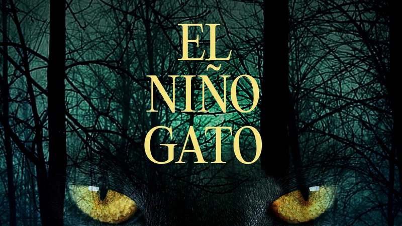 El niño gato — Personal project
